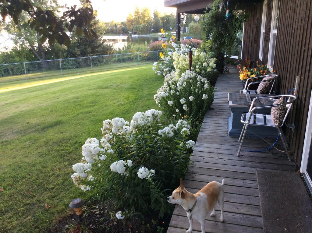 Robert'S Roost Rv Park Resort クイネル エクステリア 写真