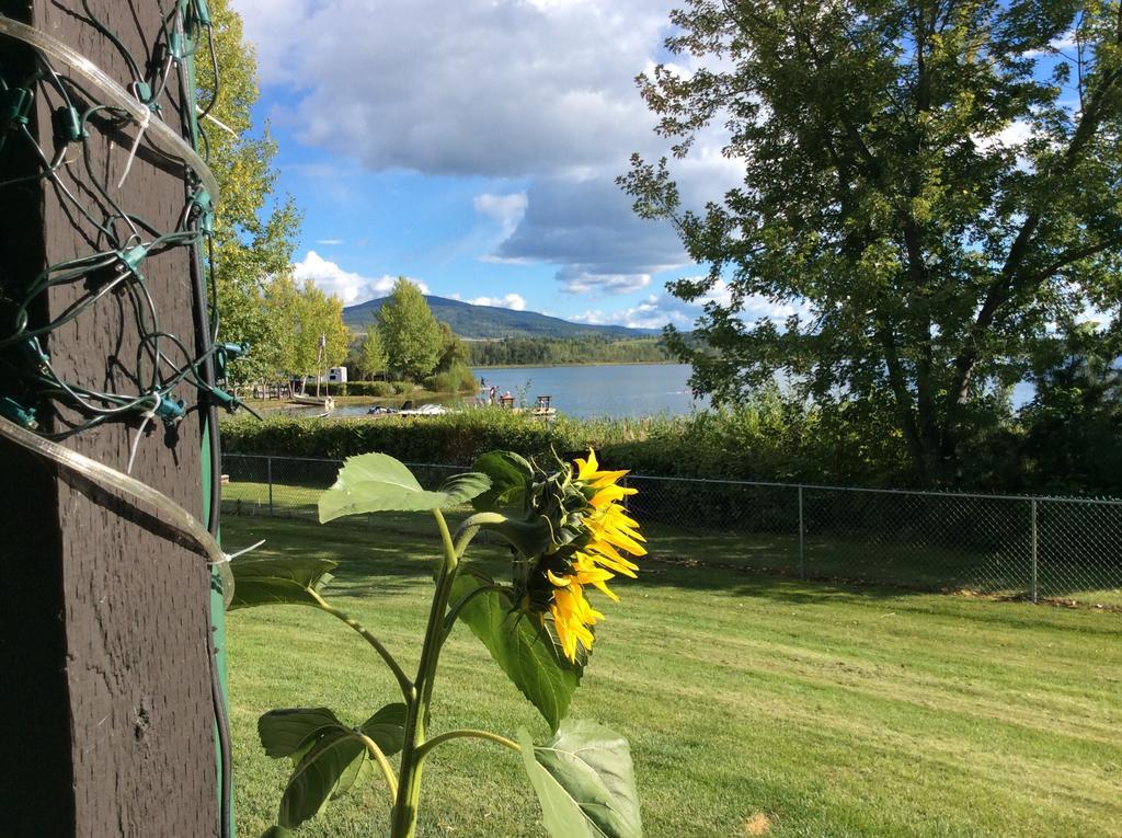 Robert'S Roost Rv Park Resort クイネル エクステリア 写真