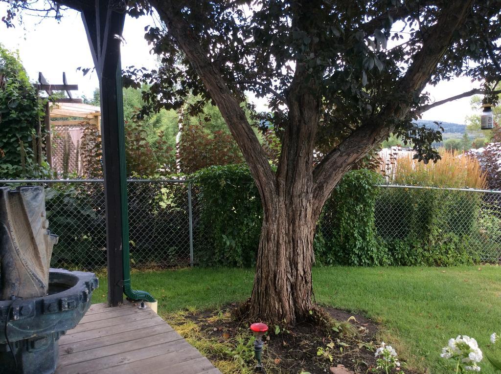 Robert'S Roost Rv Park Resort クイネル エクステリア 写真