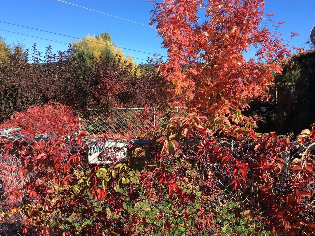 Robert'S Roost Rv Park Resort クイネル エクステリア 写真